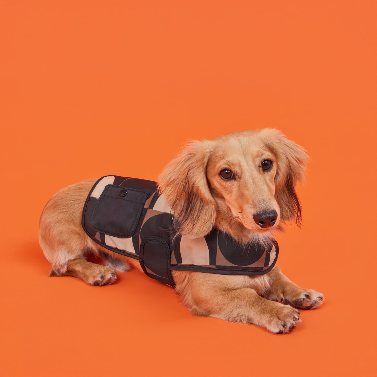 Dog Coat - Spot Square Mocha