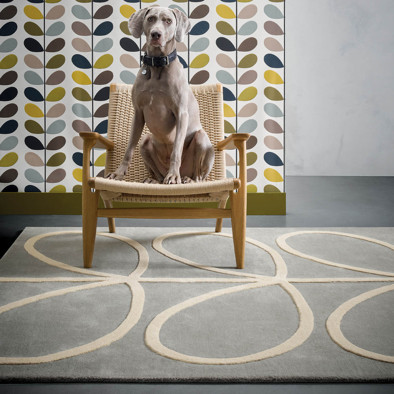 Dog sitting on chair with an Orla Kiely Giant Linear Stem Rug in Cool Grey