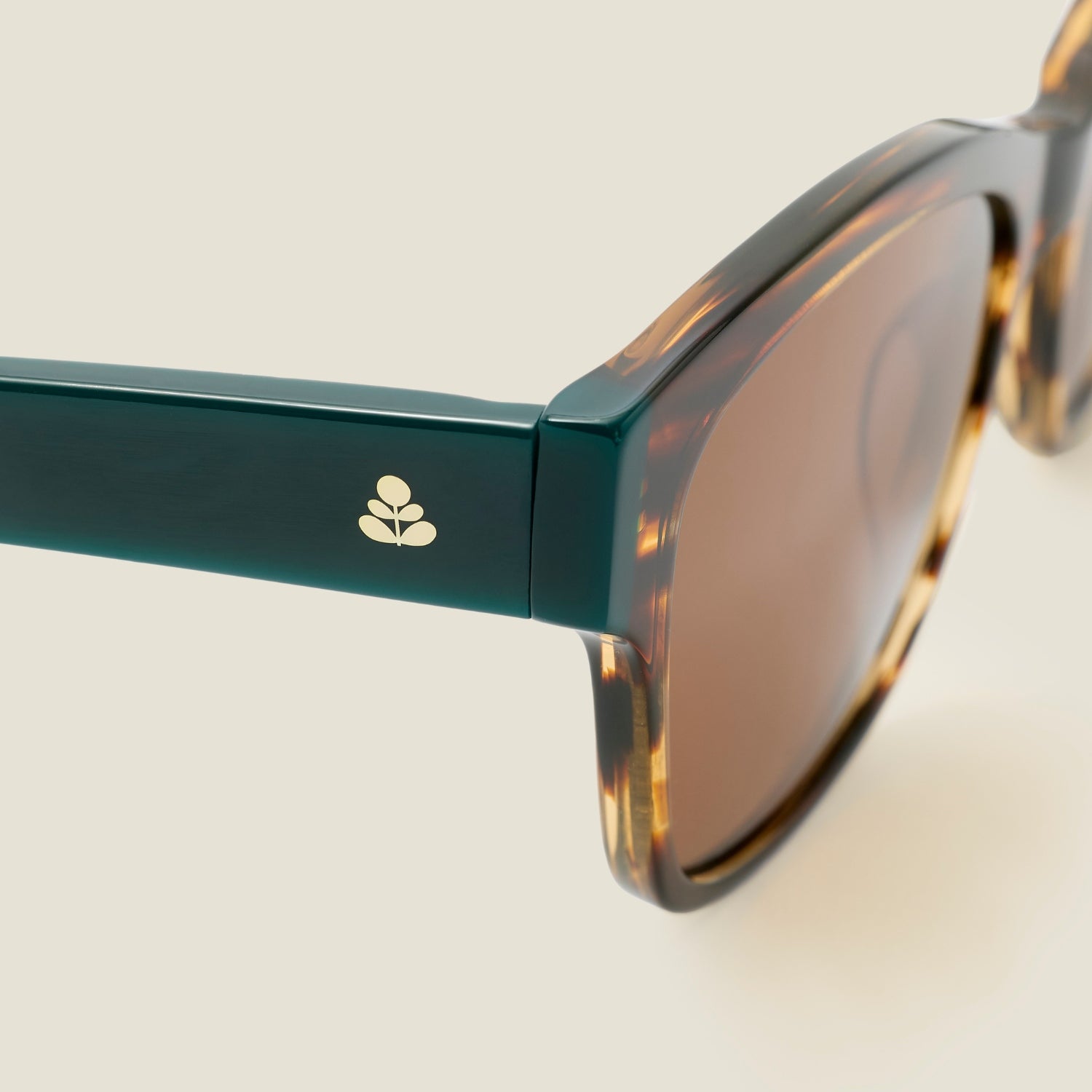 Wisteria Sunglasses - Tortoisheshell & Teal
