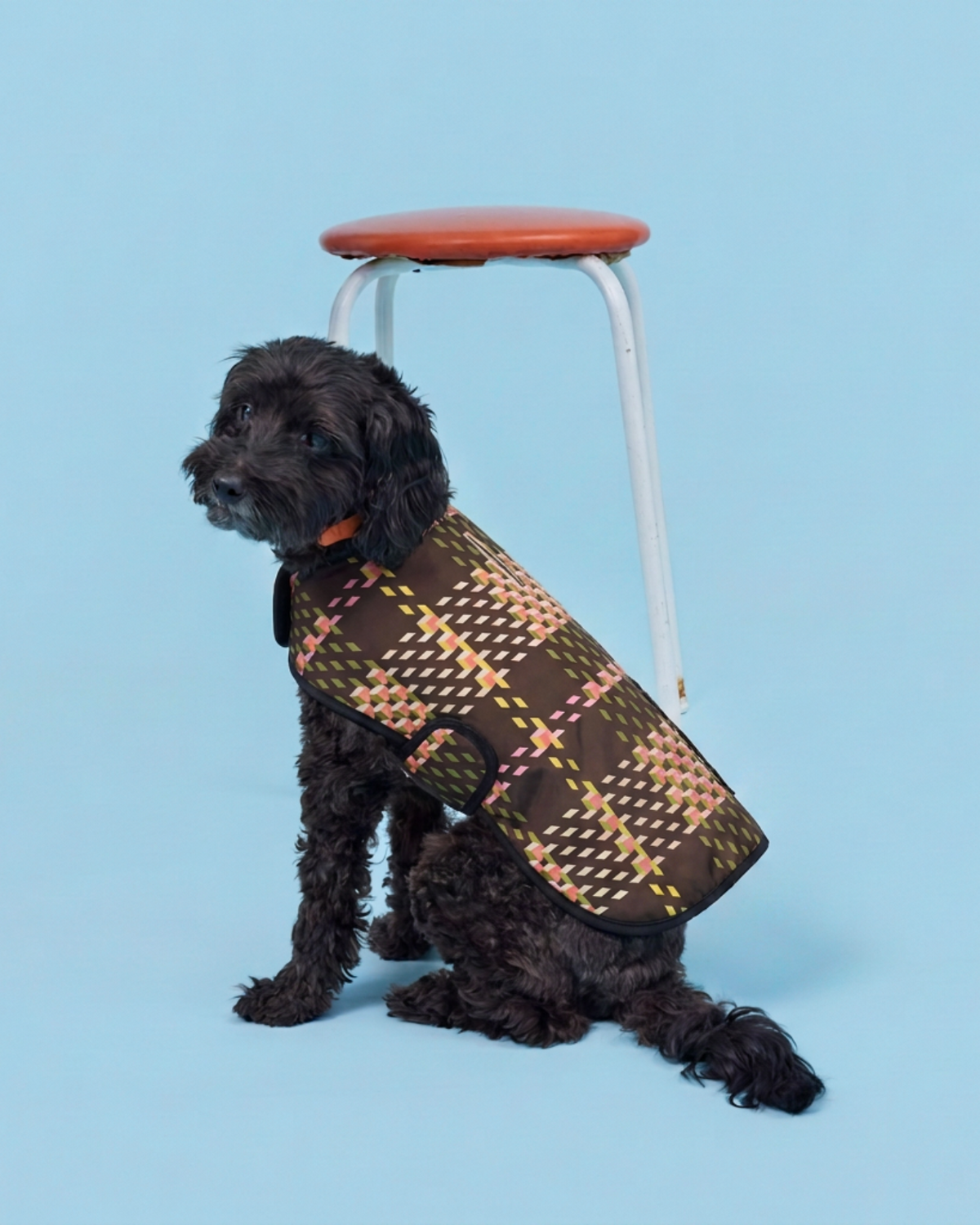 Dog Coat - Cubic Check Cocoa